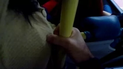 వైల్డ్ నికోల్